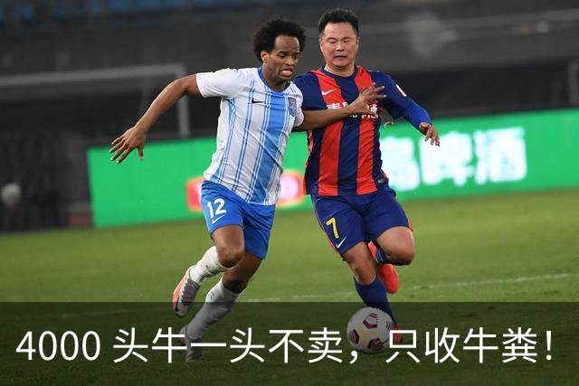 4000 头牛一头不卖，只收牛粪！广西汉靠 “屎” 逆袭，狂赚上亿身家